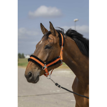 Licol Equithème Nylon Mouton Licol Equithème Nylon Mouton