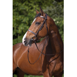 Bridon Riding World Muserolle française Havane Marron