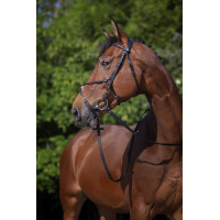 Bridon Riding World Kruisneusriem Zwart