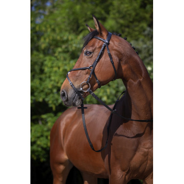 Bridon Riding World Muserolle croisée Noir
