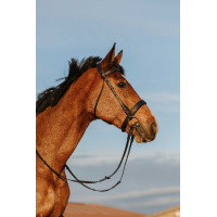 Bridon Riding World Neusriem breed Zwart