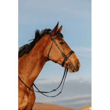 Bridon Riding World Neusriem breed Bridon Riding World Neusriem breed