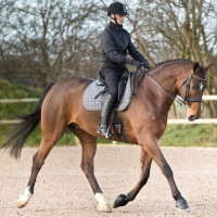 Klokken Lock On Horze Klokken Lock On Horze