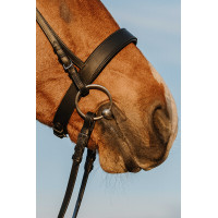 Bridon Riding World Neusriem breed Zwart Bridon Riding World Neusriem breed Zwart
