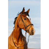 Bridon Riding World muserolle combinée double Havane Marron