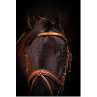 Bridon Pénélope Elégance Cognac Bridon Pénélope Elégance Cognac