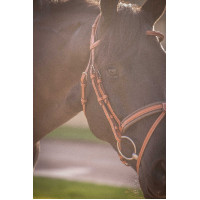 Bridon Pénélope Elégance Cognac Bridon Pénélope Elégance Cognac