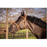 Bridon Pénélope Elégance Cognac Marron Bridon Pénélope Elégance Cognac Marron