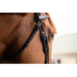 Birdon Oxford Prestatie Pénélope Zwart