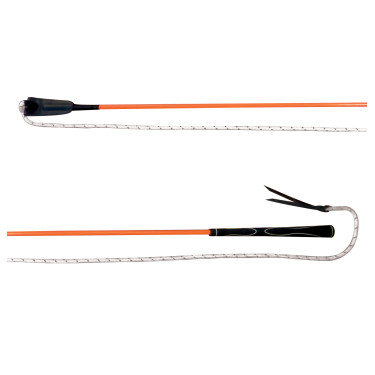 Stick éthologique Whip & Go Stick éthologique Whip & Go