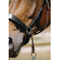 Bridon Bitloos Norton Havana Bruin