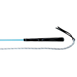 Stick éthologique Whip & Go bleu