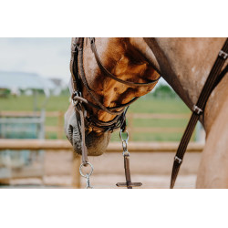 Bridon Bitloos Norton Havana Bruin