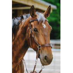Bridon Bitloos Norton Havana Bruin