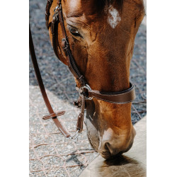 Bridon Bitloos Norton Havana Bruin