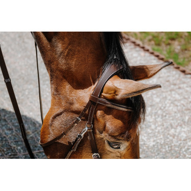 Bridon Bitloos Norton Havana Bruin