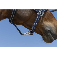 Licol Norton Grooming Bleu marine