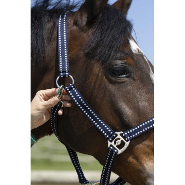 Licol Norton Grooming Licol Norton Grooming