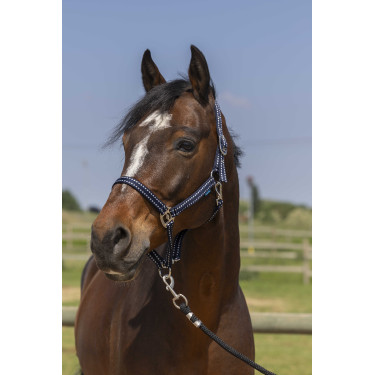 Licol Norton Grooming Licol Norton Grooming