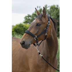 Halster + leadrope Norton Large Halster + leadrope Norton Large