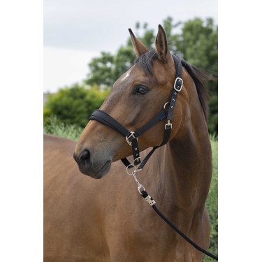 Halster + leadrope Norton Large Halster + leadrope Norton Large