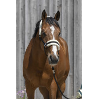 Halster Riding World synthetische schapenvacht Zwart Halster Riding World synthetische schapenvacht Zwart