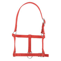 Halster veulen Riding World Rood Halster veulen Riding World Rood