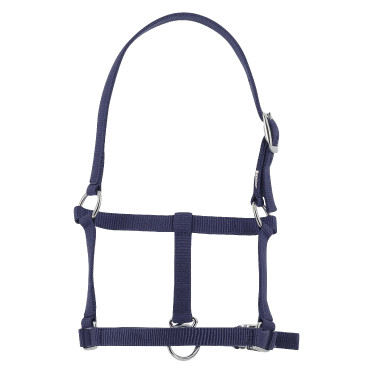Licol foal Riding World Bleu marine Licol foal Riding World Bleu marine