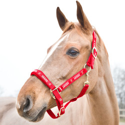 Halster Hamptons Horze Halster Hamptons Horze