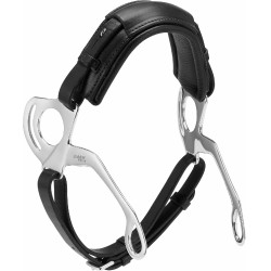 Hackamore Poney 2494