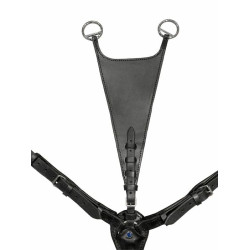 Collier de chasse Pro-Jump Stübben Noir