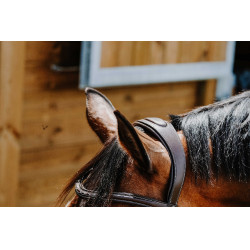 Bridon Freedom Norton Havane Marron