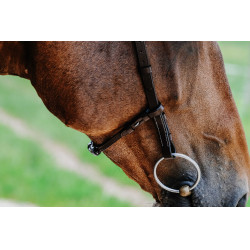 Bridon Freedom Norton Havane Marron