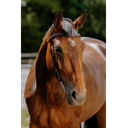 Bridon Freedom Norton Havane Marron