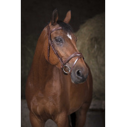 Bridon Norton Pro Vague Havane Marron