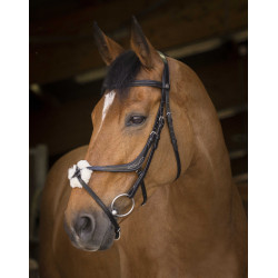 Bridon Norton Pro met kruisneusriem Zwart Bridon Norton Pro met kruisneusriem Zwart