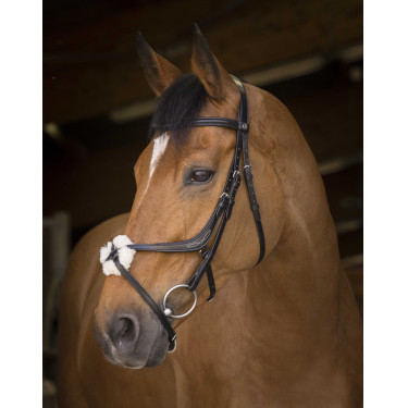 Bridon Norton Pro met kruisneusriem Zwart Bridon Norton Pro met kruisneusriem Zwart