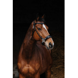 Bridon Norton Pro Hackamore Noir Bridon Norton Pro Hackamore Noir
