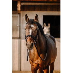 Bridon Eric Thomas Werk Zwart Bridon Eric Thomas Werk Zwart