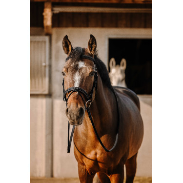 Bridon Eric Thomas Werk Zwart Bridon Eric Thomas Werk Zwart