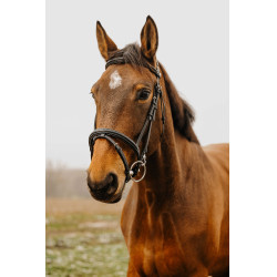 Bridon Norton Club Easy Noir