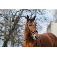Bridon Norton Training Zwart