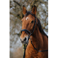 Bridon Norton Training Noir Bridon Norton Training Noir