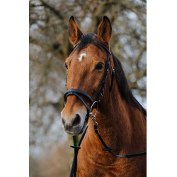 Bridon Norton Training Noir Bridon Norton Training Noir