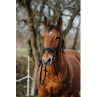 Bridon Norton Training Noir Bridon Norton Training Noir
