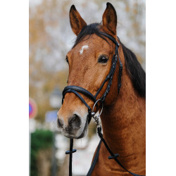 Bridon Norton Training Noir Bridon Norton Training Noir