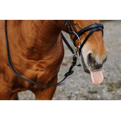 Rênes caoutchouc Norton Training PVC Noir