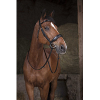 Rênes filet Norton 16 mm Noir