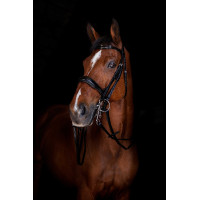 Rênes de bride Eric Thomas Elite 13 mm Noir Rênes de bride Eric Thomas Elite 13 mm Noir