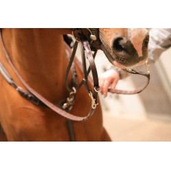 Enrênement Pénélope Howlett Havane Marron Enrênement Pénélope Howlett Havane Marron